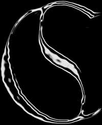 Calmsite logo